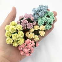 Carroway Colour Collection - Pastels - 15mm Mulberry Paper Flower Open Roses 