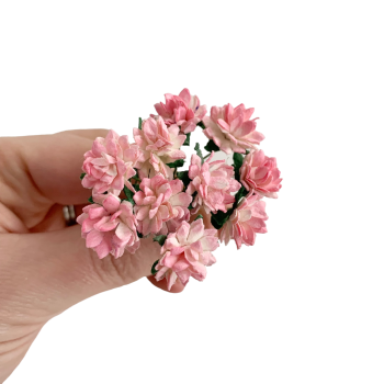 Mulberry Paper Flowers - Aster Daisies - Two Tone Baby Pink and Ivory