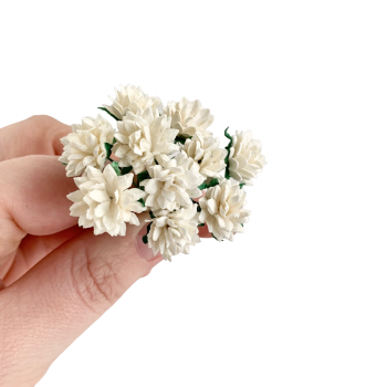 Mulberry Paper Flowers - Aster Daisies - Ivory
