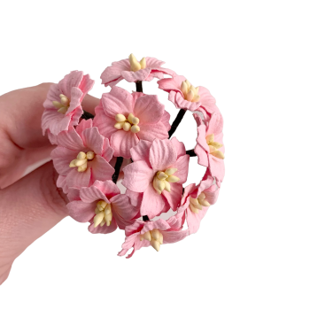 Mulberry Paper Flowers - Apple Blossoms - Baby Pink