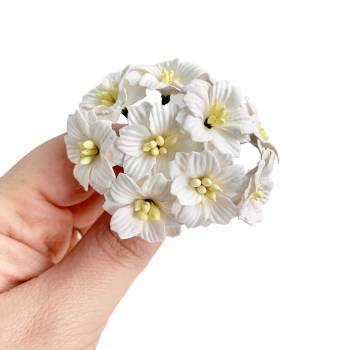 Mulberry Paper Flowers - Apple Blossoms - White