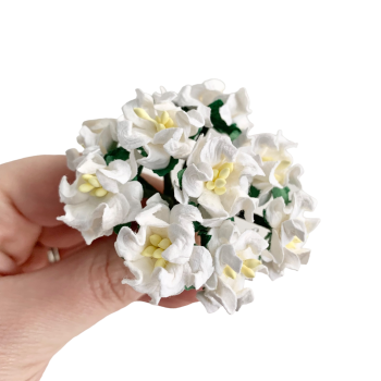 Mulberry Paper Flowers - Gardenias 25mm  - White