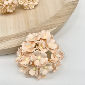 Mulberry Paper Flower Sweetheart Blossom Pale Peach