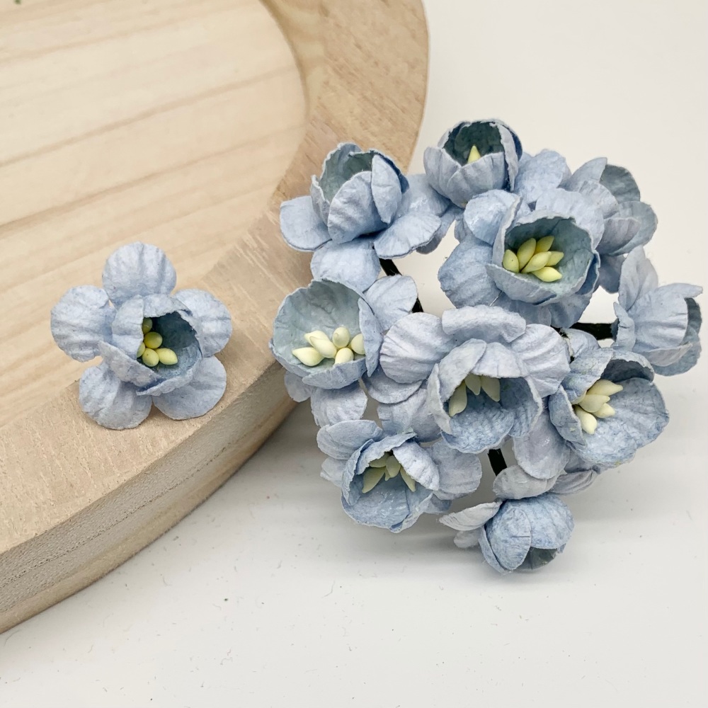 Mulberry Paper Flowers - Cherry Blossoms  - Baby Blue