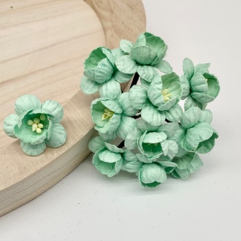 Mulberry Paper Flowers - Cherry Blossoms  - Pastel Green