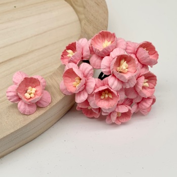 Mulberry Paper Flowers - Cherry Blossoms  - Baby Pink