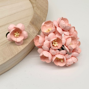 Mulberry Paper Flowers - Cherry Blossoms  - Pale Pink
