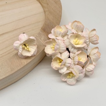 Mulberry Paper Flowers - Cherry Blossoms  - Two Tone Pink
