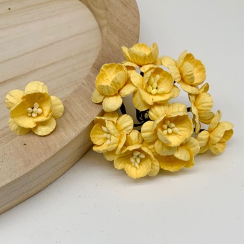 Mulberry Paper Flowers - Cherry Blossoms  - Yellow