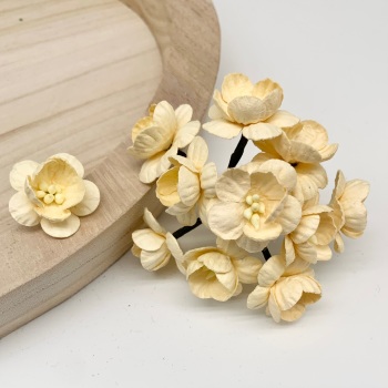 Mulberry Paper Flowers - Cherry Blossoms  - Cream