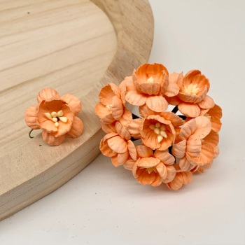 Mulberry Paper Flowers - Cherry Blossoms  - Peach
