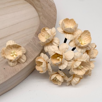 Mulberry Paper Flowers - Cherry Blossoms  - Deep Ivory