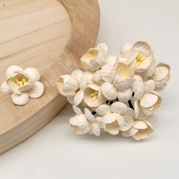 Mulberry Paper Flowers - Cherry Blossoms  - Ivory