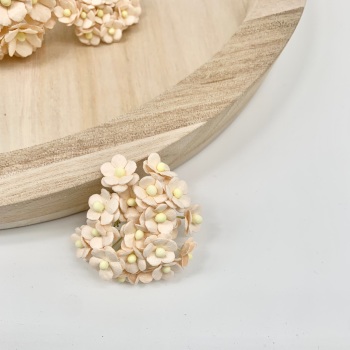 Mulberry Paper Flower Miniature Sweetheart Blossom Pale Peach