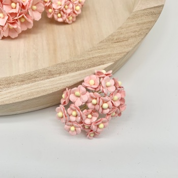 Mulberry Paper Flower Miniature Sweetheart Blossom Pale Pink