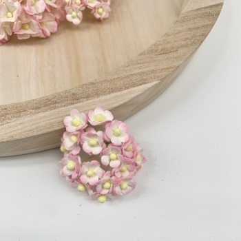 Mulberry Paper Flower Miniature Sweetheart Blossom Two Tone Pink