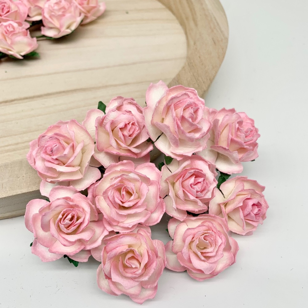  Mulberry Paper Flowers - Wild Roses 30mm  - Two Tone Baby Pink Ivory 