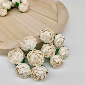 Mulberry Paper Flowers - Peonies  - Ivory