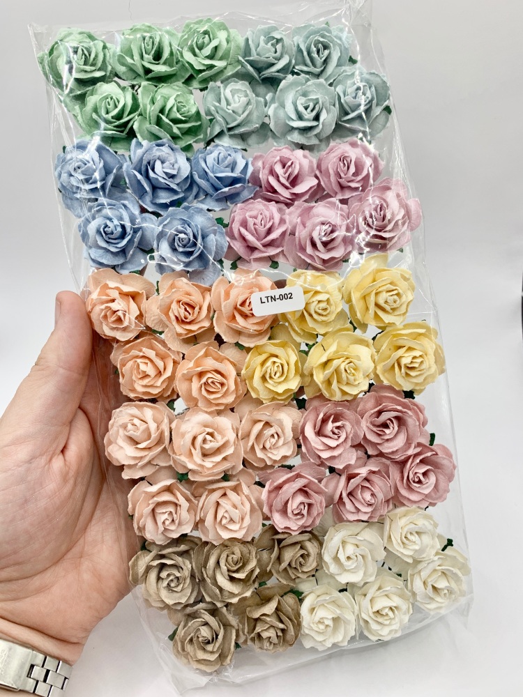 Mulberry Paper Flowers - Wild Roses 30mm  - Mixed Soft Tones Pack