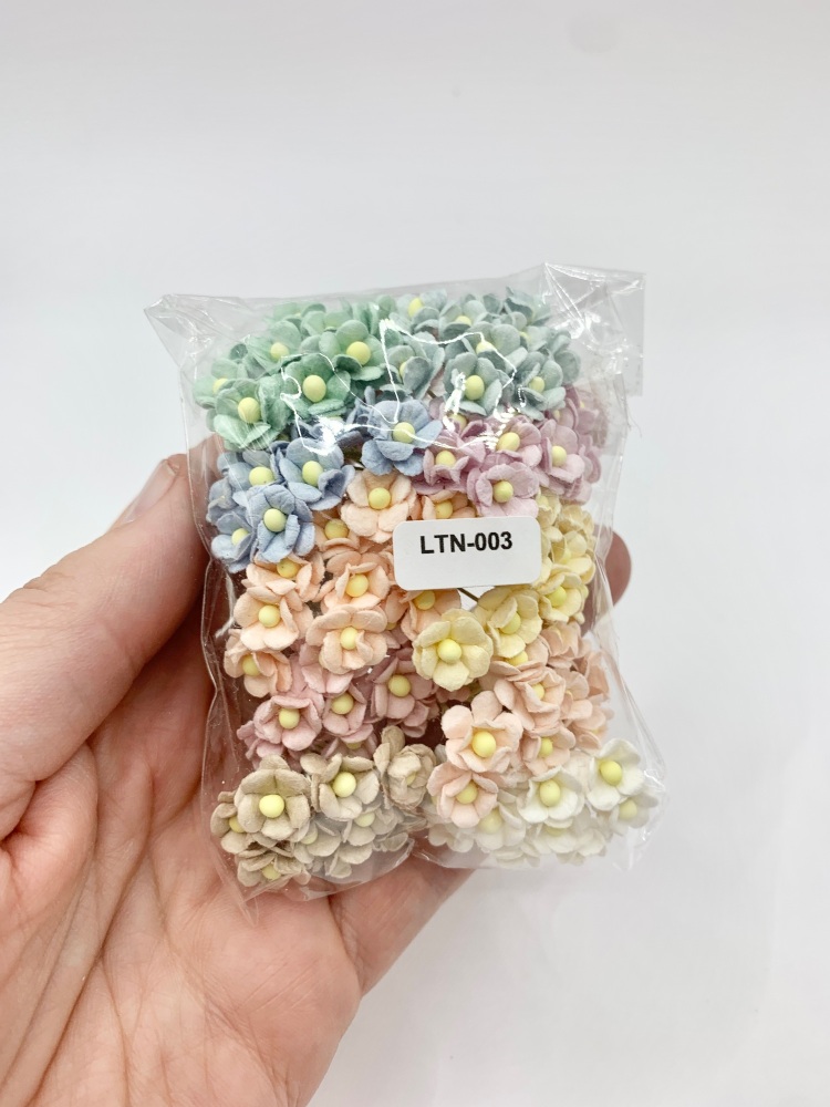 Mixed Soft Tones Mulberry Paper Flower Miniature Sweetheart Blossoms