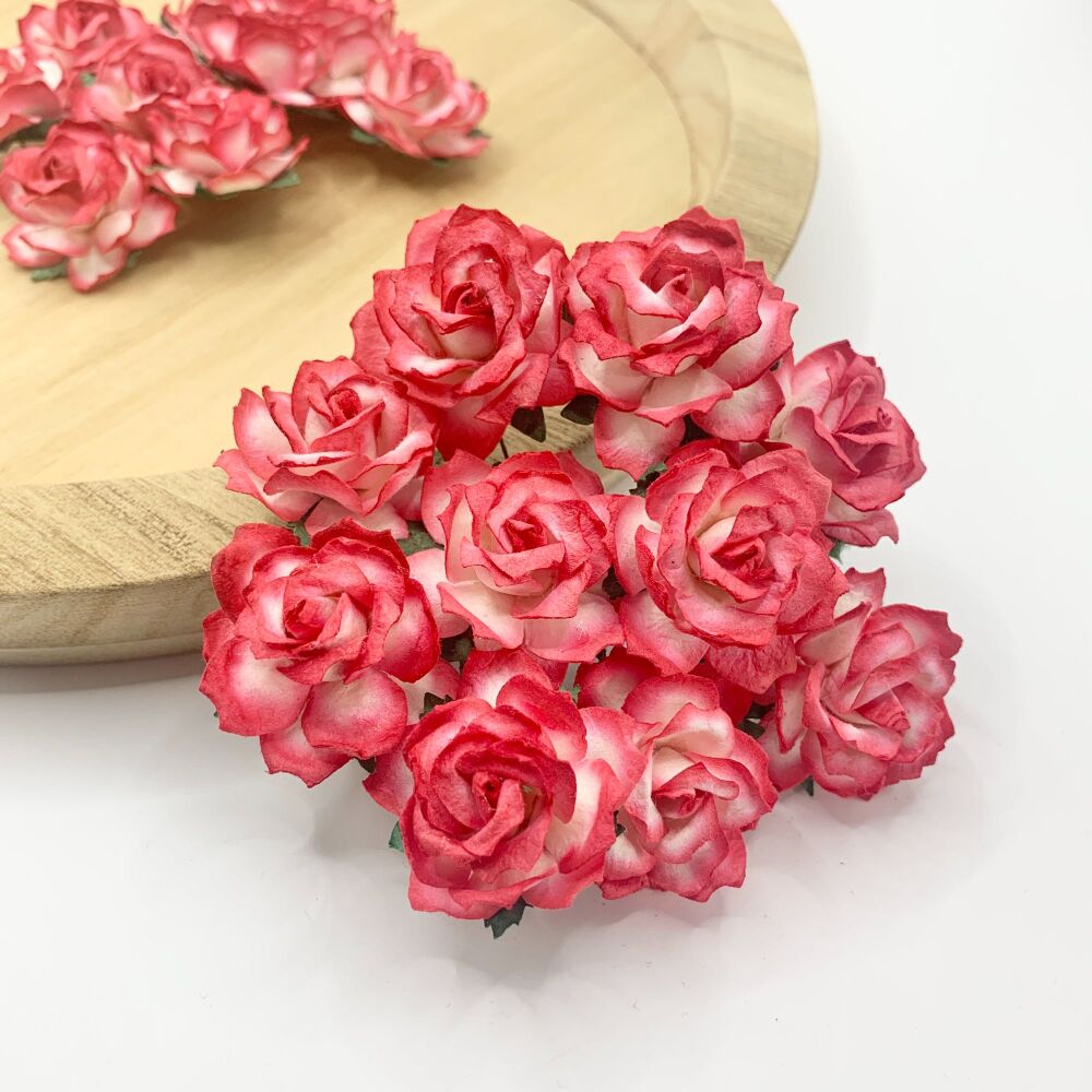 Mulberry Paper Flowers - Wild Roses 30mm  - Two Tone Red