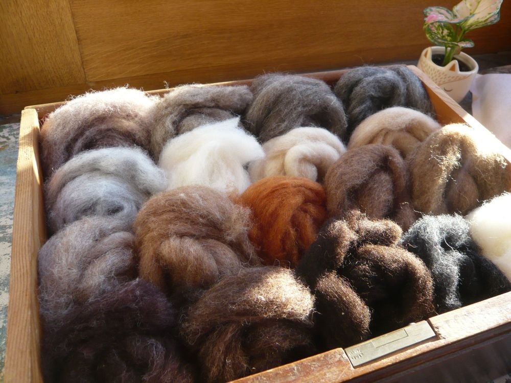 wildlife sliver wool