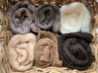Creatures Mix- Natural Wool Sliver