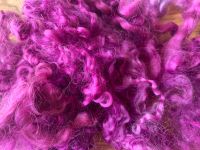 Dyed Curly Locks - Purples