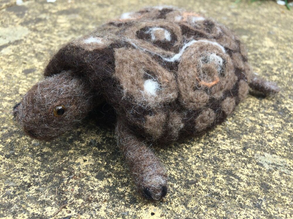 felted tortoise