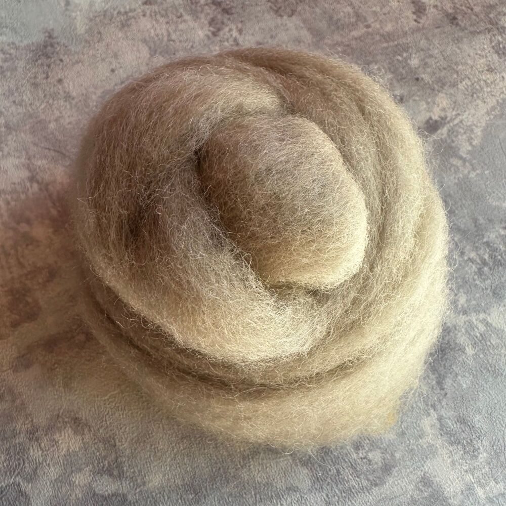 Carded Sliver - 'Baby Owl' - Light grey brown