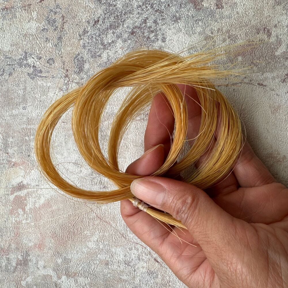 Extra large pack Whiskers & tails - Natural Golden - Natural horse hair