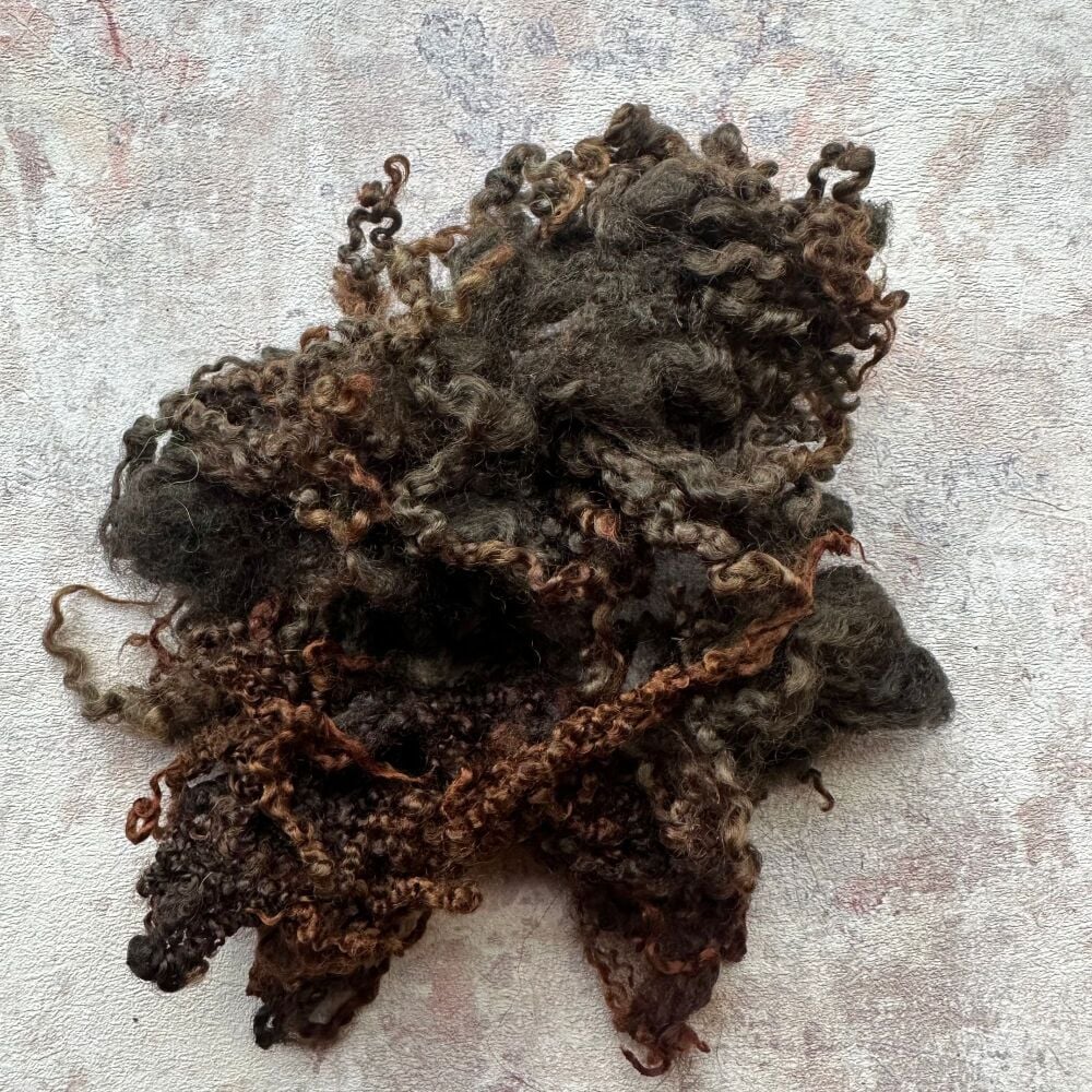 Blue Faced Leicester Locks - Dyed Brown