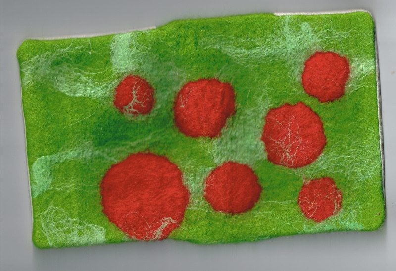 wet felted book cover with pre felt circles