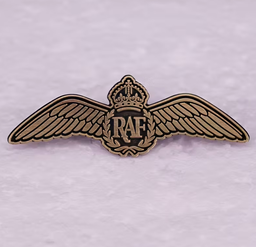 RAF Royal Air Force Aircraft Jet Pilot Wings Broach Badge