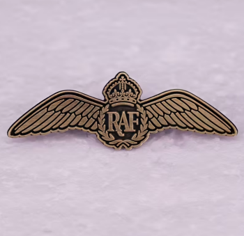 RAF Royal Air Force Aircraft Jet Pilot Wings Broach Badge