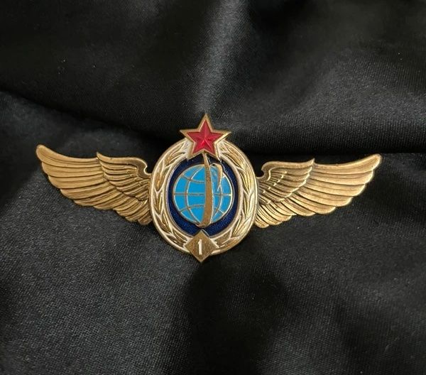 Rare NASA Astronaut Broach World Orbit Wings Medal Badge Gold