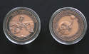 NASA Space Program Commemorative Mars Curiosity Rover Medallion Coin Collectable