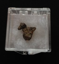 Metorite Rock Sample (Small)