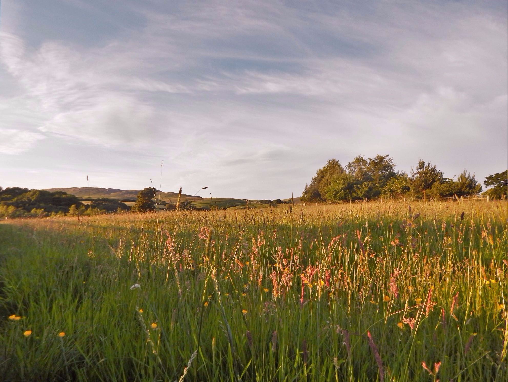 Over the meadows at Thornbrook Barn