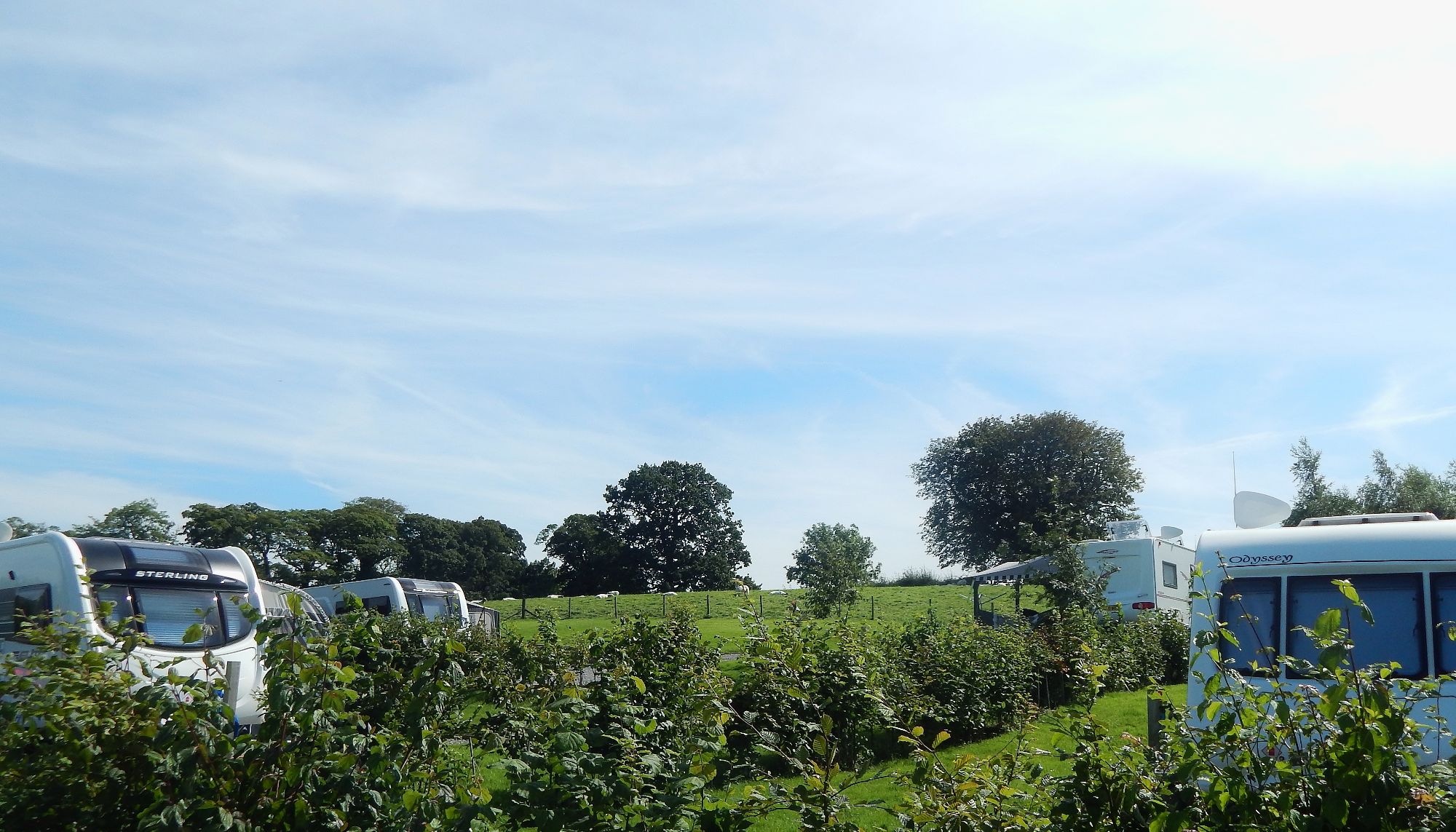 Some of the Serviced Pitches Thornbrook Barn