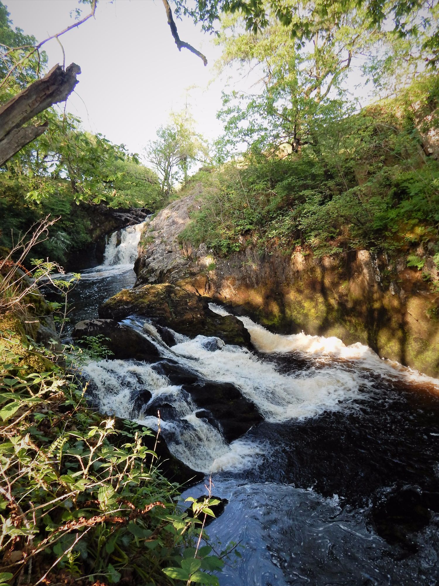 The Waterfalls Trail