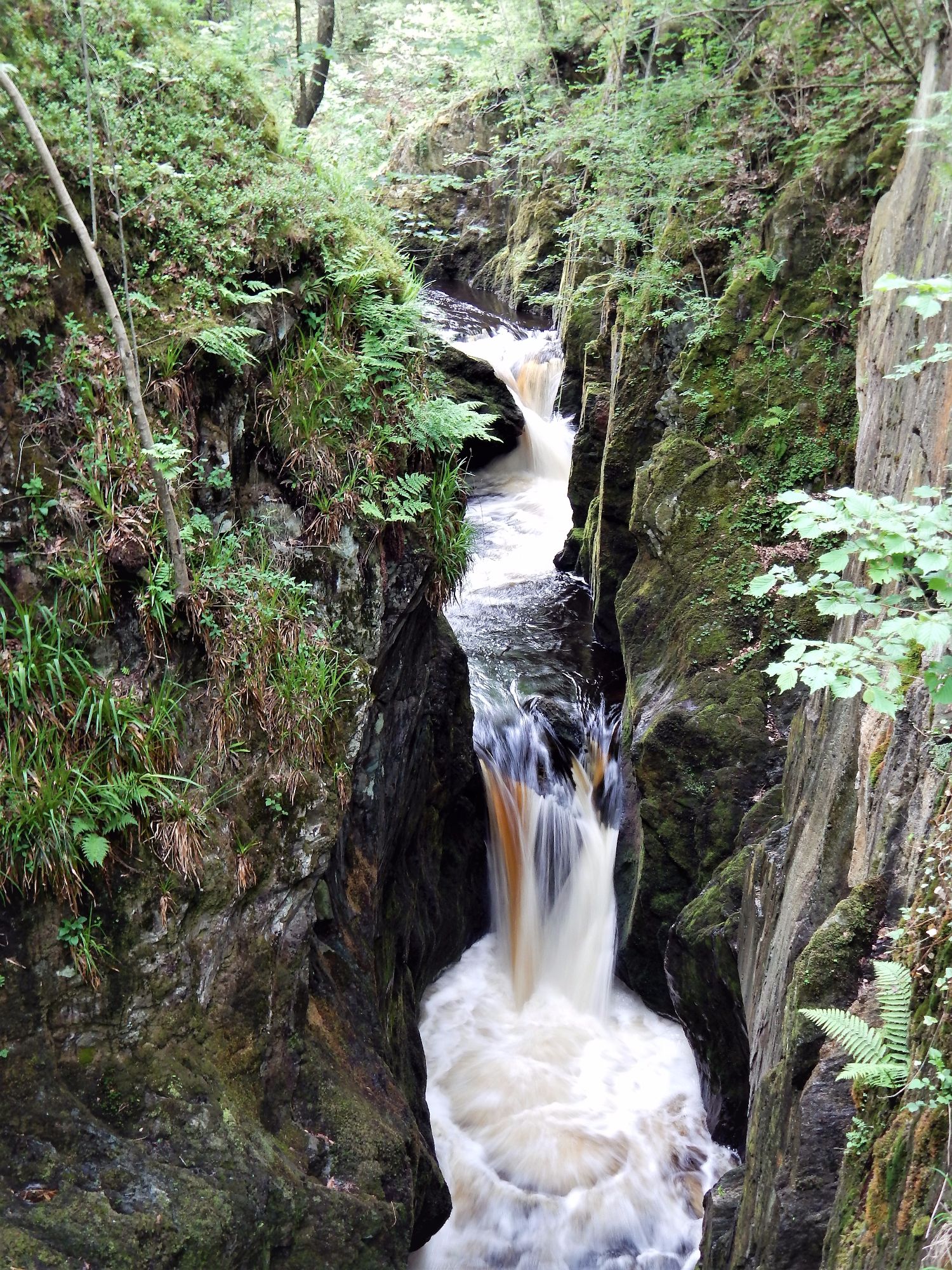 The Waterfalls Trail