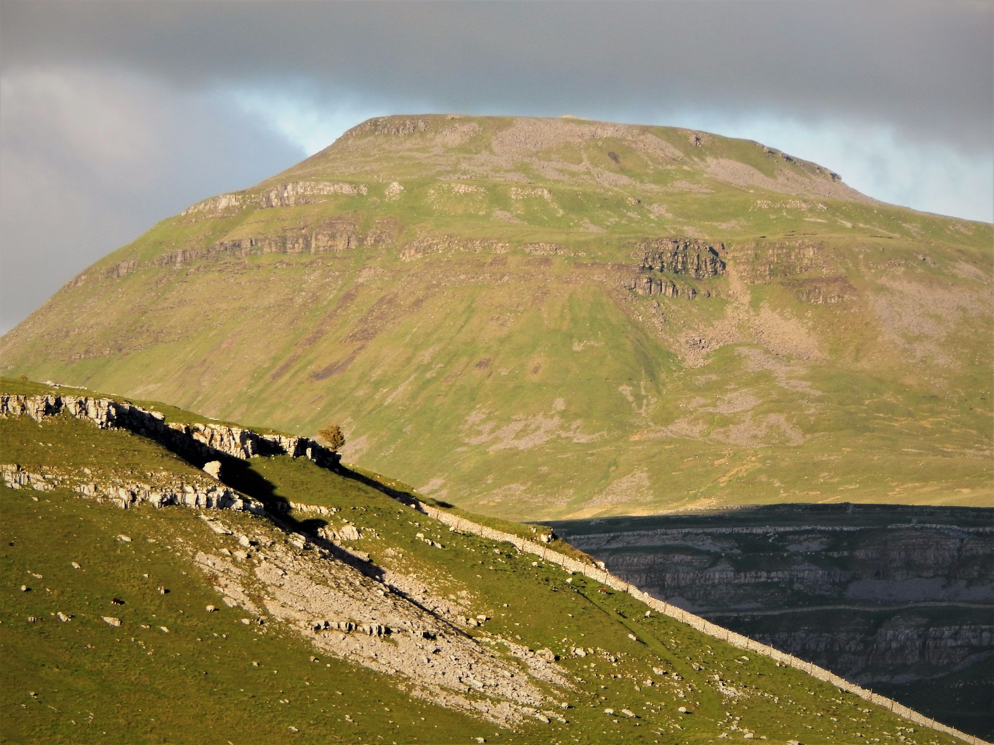 Ingleborough and lonely tree from Kingsdale