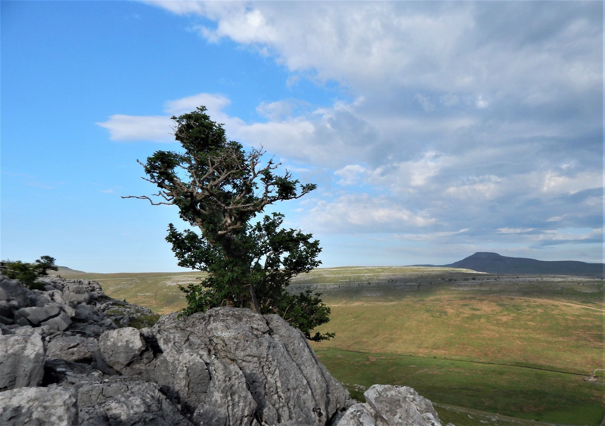 Ingleborough from Hunts Cross