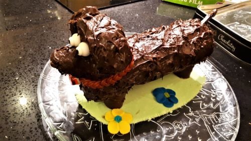 Decorated Swiss Roll 2