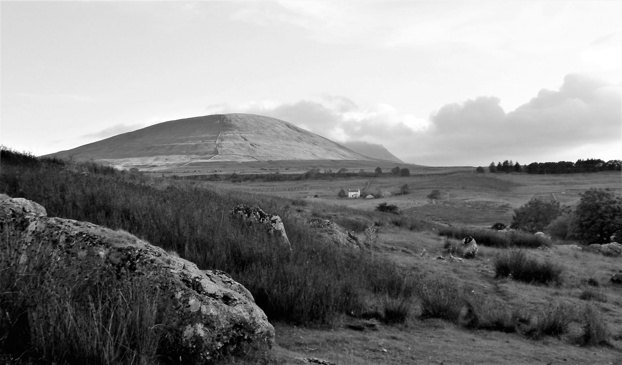 Park Fell, nr Ribblehead