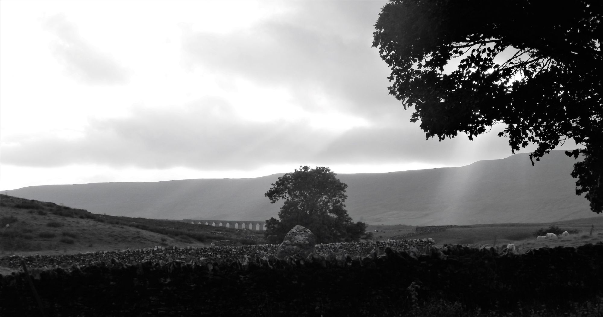 Ribblehead Viaduct from the unhinabited hamlet of Thorns