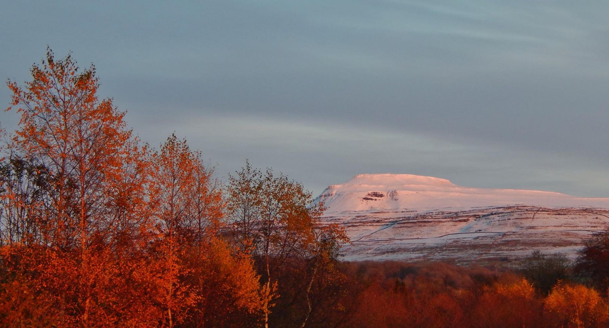 Ingleborough from the dog exercise area