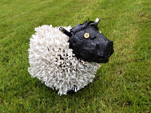 Shotgun Cartridge Sheep 2019