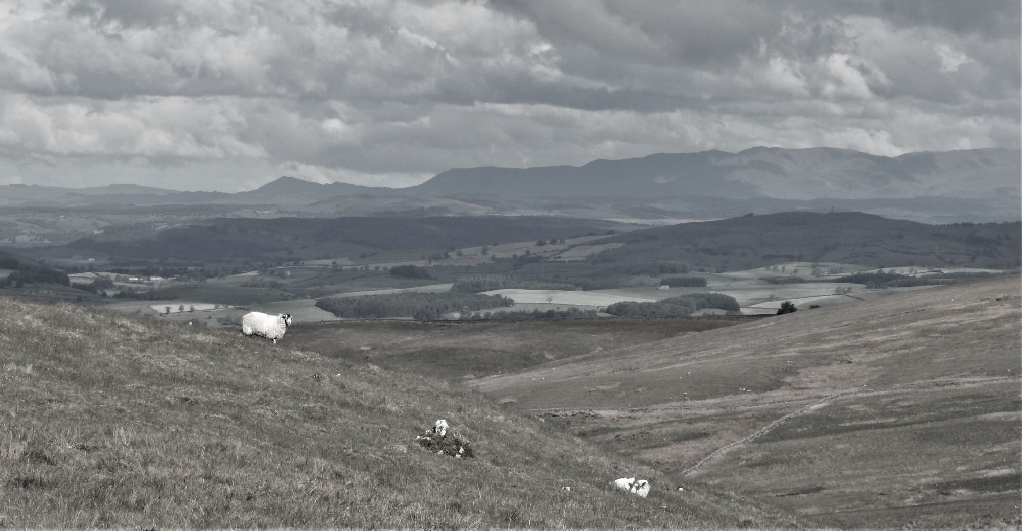 View from Tow Scar, close to the site towards the Lakeland Fells